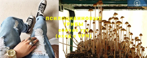 дмт Бронницы