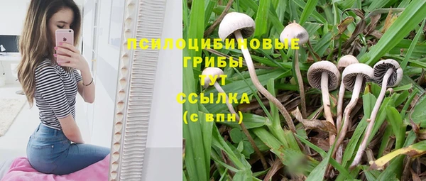 дмт Бронницы